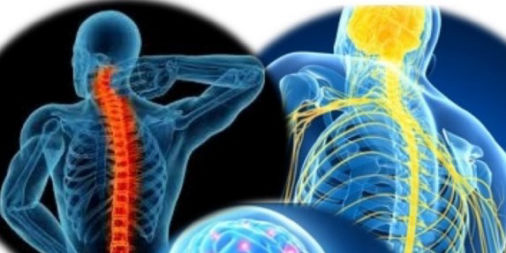 Neurological Rehabilitation